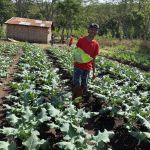 The Magis Gift postal card